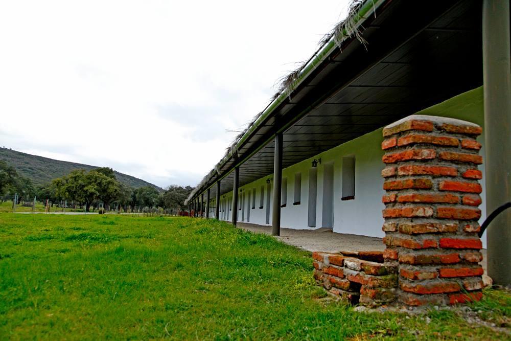 Hotel Rural Puerta De Monfrague Villarreal de San Carlos Exterior foto